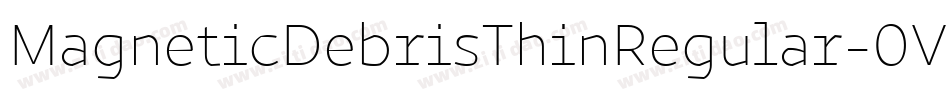 MagneticDebrisThinRegular-0VpX字体转换