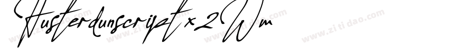 Husterdunscript-x2Wm字体转换