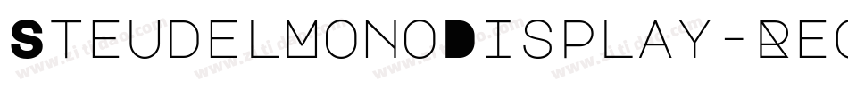 SteudelMonoDisplay-Regular字体转换