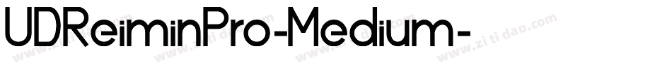 UDReiminPro-Medium字体转换
