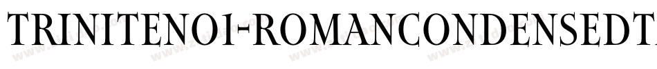 TriniteNo1-RomanCondensedTa字体转换