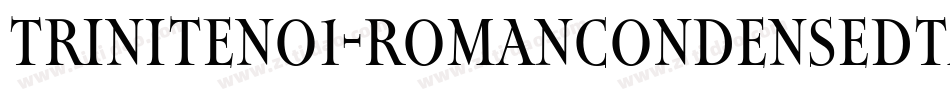 TriniteNo1-RomanCondensedTa字体转换