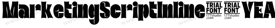 MarketingScriptInline-9YEAL字体转换