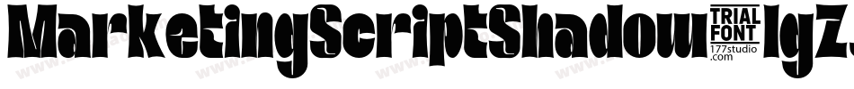 MarketingScriptShadow-lgZJy字体转换