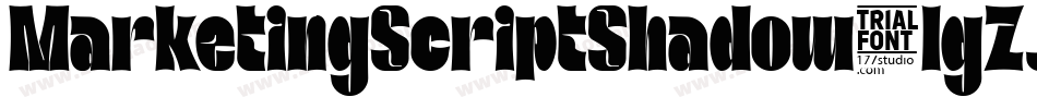 MarketingScriptShadow-lgZJy字体转换