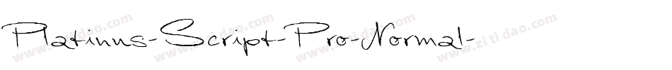 Platinus-Script-Pro-Normal字体转换