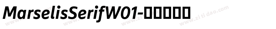 MarselisSerifW01字体转换
