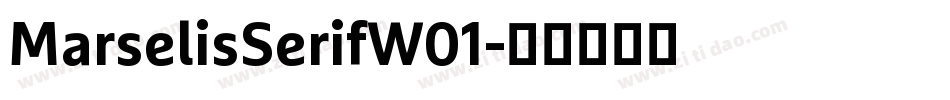 MarselisSerifW01字体转换