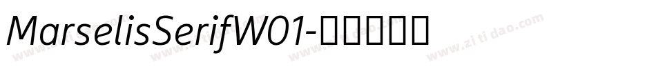 MarselisSerifW01字体转换