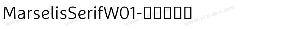 MarselisSerifW01字体转换