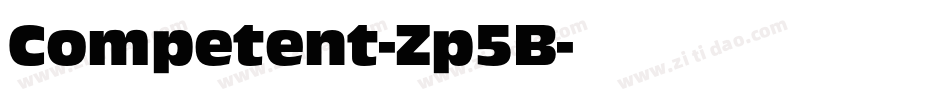 Competent-Zp5B字体转换