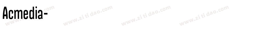 Acmedia字体转换