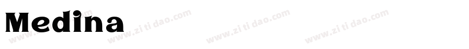Medina字体转换