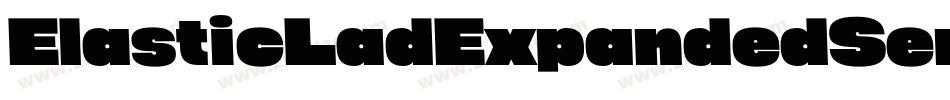 ElasticLadExpandedSemiLeft-2Og2W字体转换
