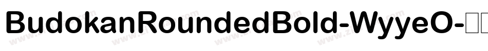 BudokanRoundedBold-WyyeO字体转换