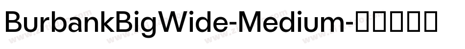 BurbankBigWide-Medium字体转换