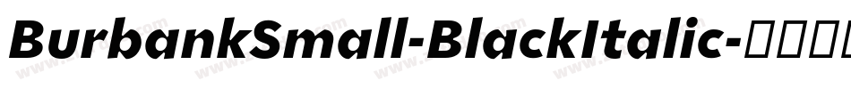 BurbankSmall-BlackItalic字体转换