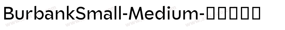 BurbankSmall-Medium字体转换