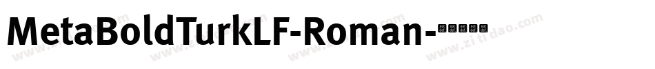 MetaBoldTurkLF-Roman字体转换
