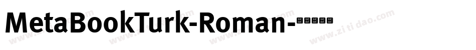 MetaBookTurk-Roman字体转换