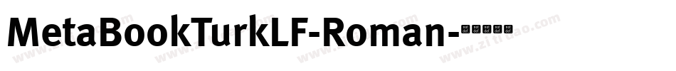 MetaBookTurkLF-Roman字体转换