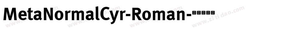 MetaNormalCyr-Roman字体转换
