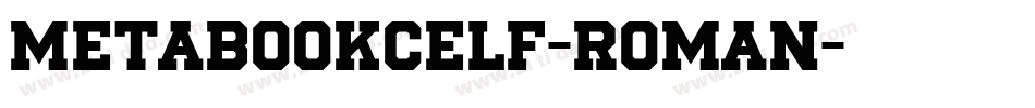 MetaBookCELF-Roman字体转换