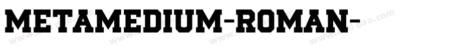 MetaMedium-Roman字体转换