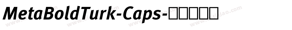MetaBoldTurk-Caps字体转换