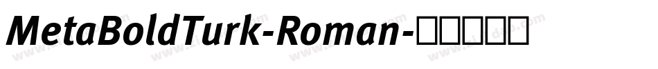 MetaBoldTurk-Roman字体转换