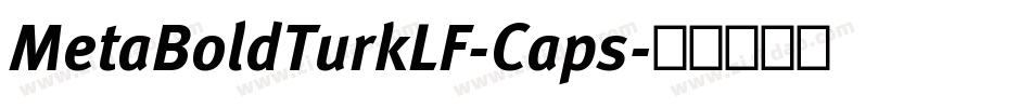 MetaBoldTurkLF-Caps字体转换