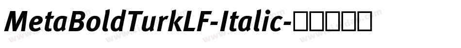 MetaBoldTurkLF-Italic字体转换