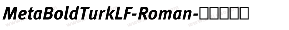 MetaBoldTurkLF-Roman字体转换