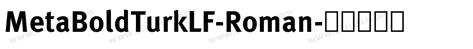 MetaBoldTurkLF-Roman字体转换