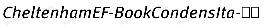 CheltenhamEF-BookCondensIta字体转换