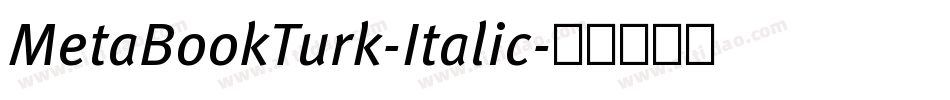 MetaBookTurk-Italic字体转换