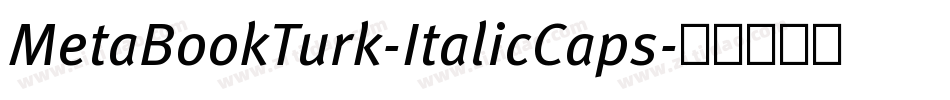 MetaBookTurk-ItalicCaps字体转换