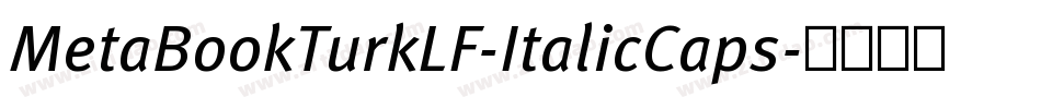 MetaBookTurkLF-ItalicCaps字体转换