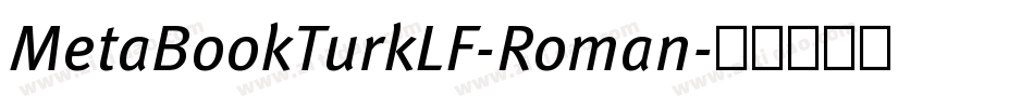 MetaBookTurkLF-Roman字体转换