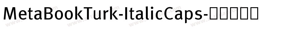 MetaBookTurk-ItalicCaps字体转换