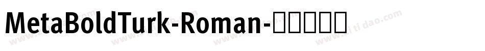 MetaBoldTurk-Roman字体转换