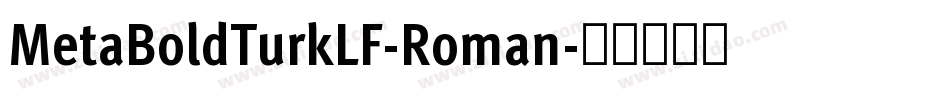 MetaBoldTurkLF-Roman字体转换