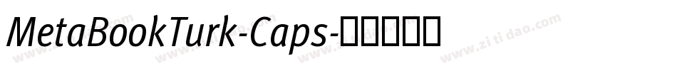 MetaBookTurk-Caps字体转换