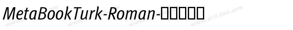 MetaBookTurk-Roman字体转换