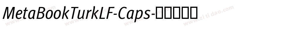 MetaBookTurkLF-Caps字体转换