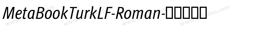 MetaBookTurkLF-Roman字体转换