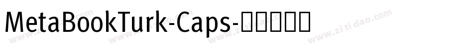 MetaBookTurk-Caps字体转换