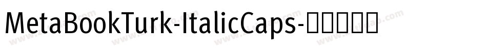 MetaBookTurk-ItalicCaps字体转换