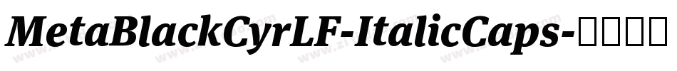 MetaBlackCyrLF-ItalicCaps字体转换