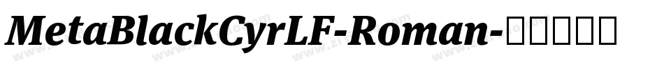 MetaBlackCyrLF-Roman字体转换